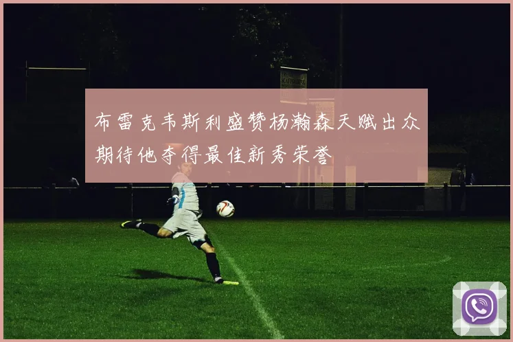 布雷克韦斯利盛赞杨瀚森天赋出众期待他夺得最佳新秀荣誉