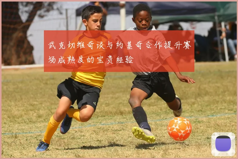 武克切维奇谈与约基奇合作提升赛场成熟度的宝贵经验